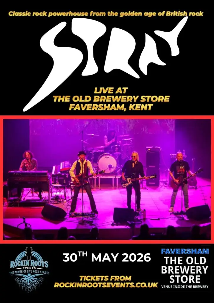 STRAY IN FAVERSHAM 2026