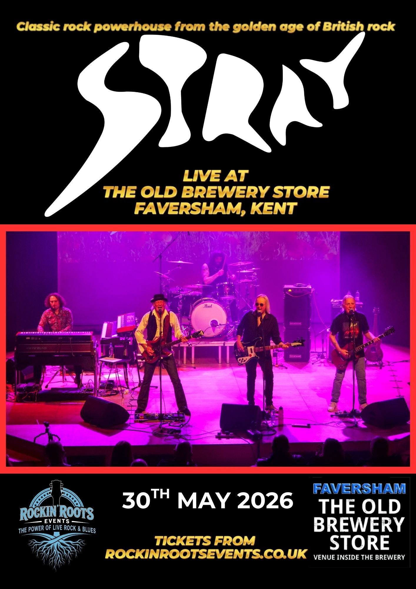 STRAY IN FAVERSHAM 2026