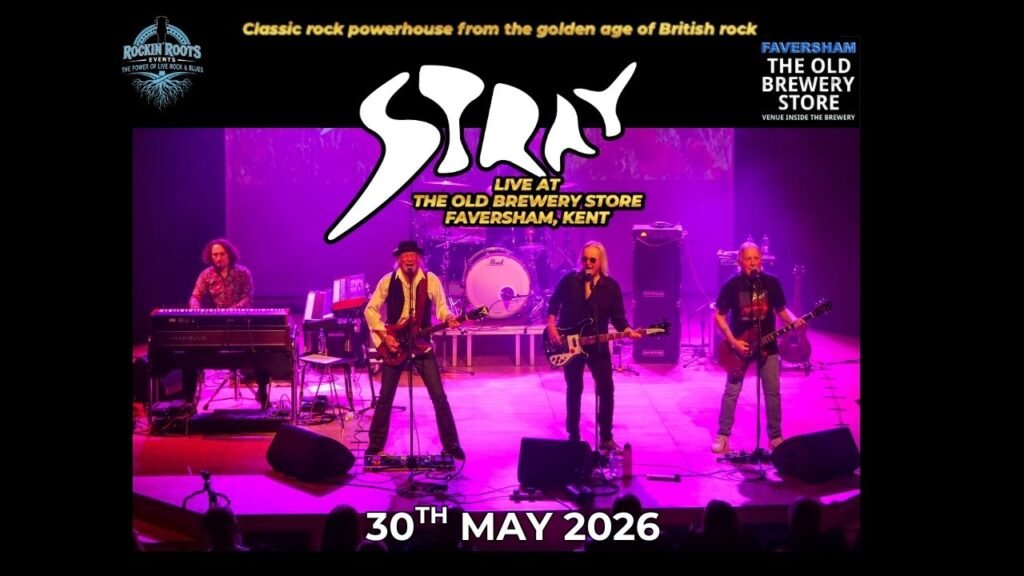 STRAY IN FAVERSHAM 2026