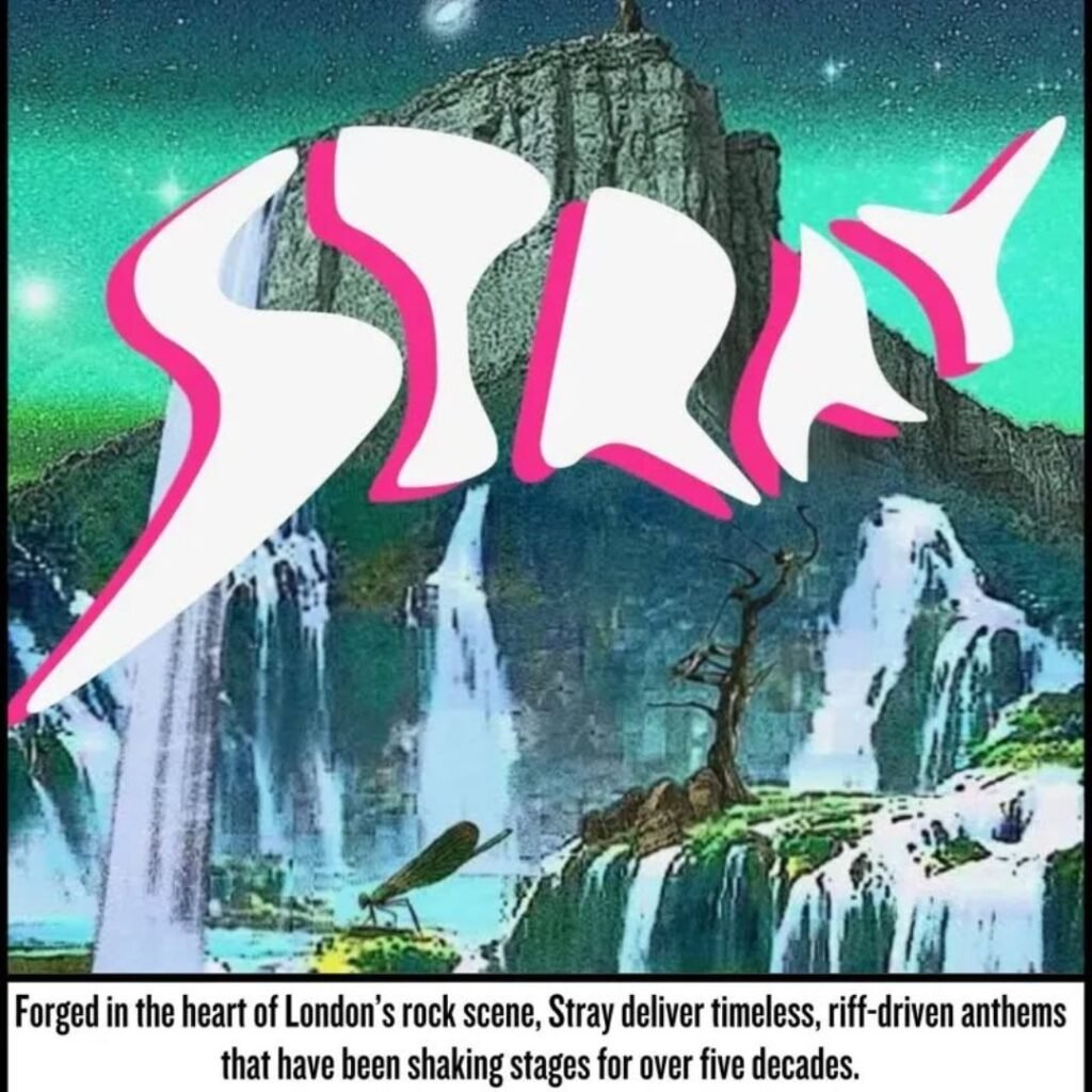 STRAY